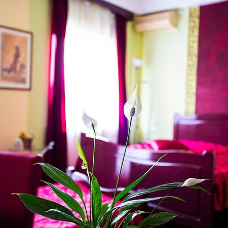 B&B Vila Tamaris Zaječar Zewnętrze zdjęcie