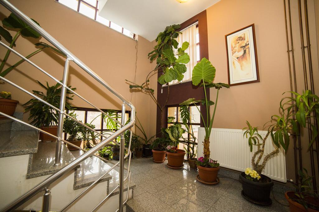 B&B Vila Tamaris Zaječar Zewnętrze zdjęcie