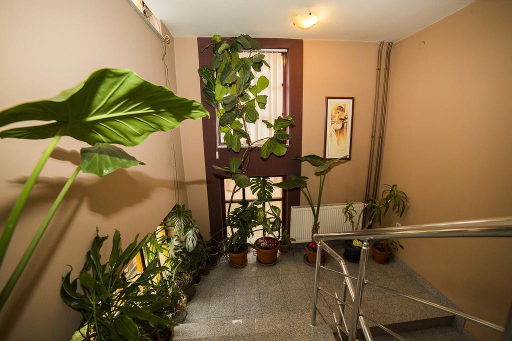 B&B Vila Tamaris Zaječar Zewnętrze zdjęcie